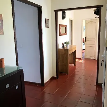 4 Bedrooms House With Sea View Enclosed Garden And Wifi At 1 Km Away From The Beach 펜션 에리세이라